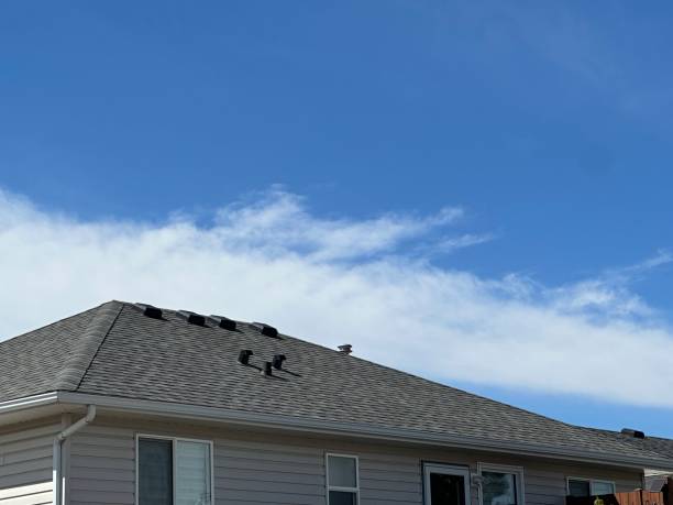 Best Roof Installation  in Escondido, CA